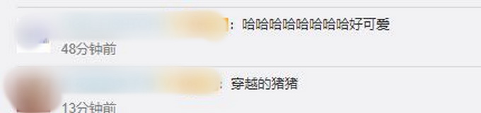 三星堆|三星堆出土的陶猪撞脸“愤怒的小鸟”中的猪，网友：穿越过去的？