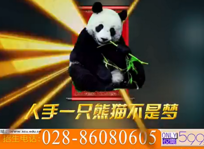 热点|自带“浓浓90年代电视购物风”！川大魔性招生视频制作者回应了