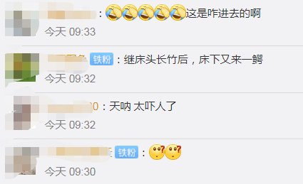 鳄鱼|吓人！家中床下突现1米多长鳄鱼，与动物园工作人员“恶斗”后被捕