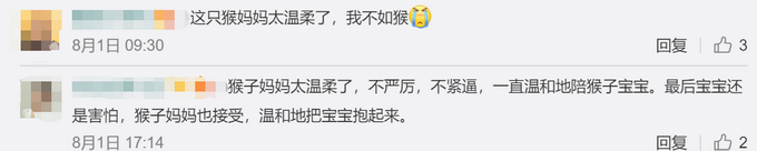 热点|猴子妈妈教宝宝下台阶，耐心鼓励眼神温柔！网友：我还不如一只猴儿