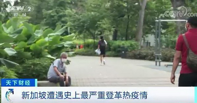 |病毒变异，传播快，已超2万例！新加坡遭遇史上最严重登革热疫情