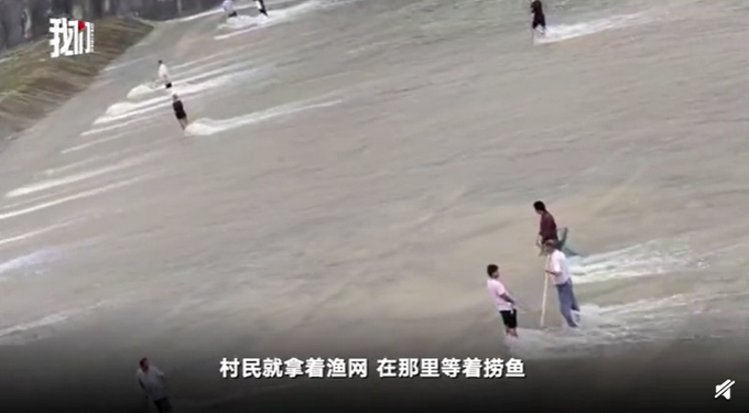|村民站水中捞鱼似御剑飞行，其实人没动，网友：乍一看真以为他们在练功