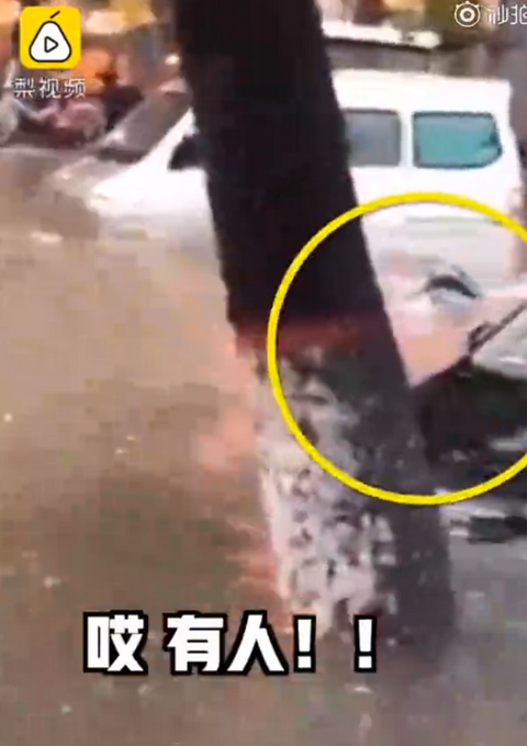 热点|危险！女子积水中游泳险遭车撞，网友：心真大！这水也太脏了