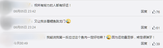 |景区上演现实版“鱼跃龙门”，逆水向上劲头十分吸引人，网友：像空中游