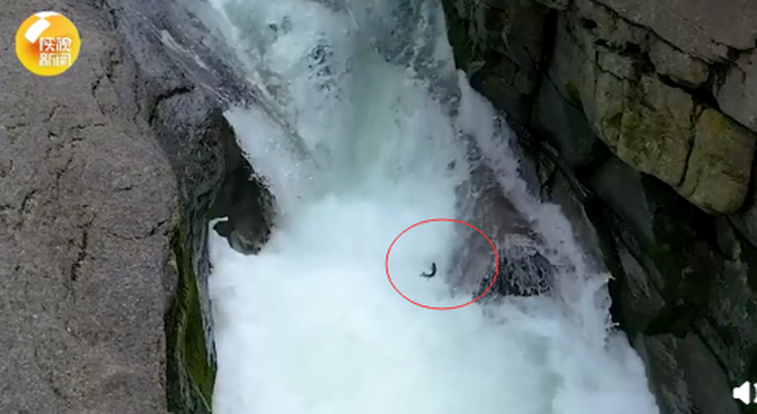 热点|景区上演现实版鱼跃龙门，火了！网友：我有什么理由不努力
