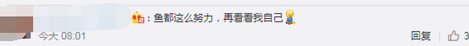 热点|景区上演现实版鱼跃龙门，火了！网友：我有什么理由不努力