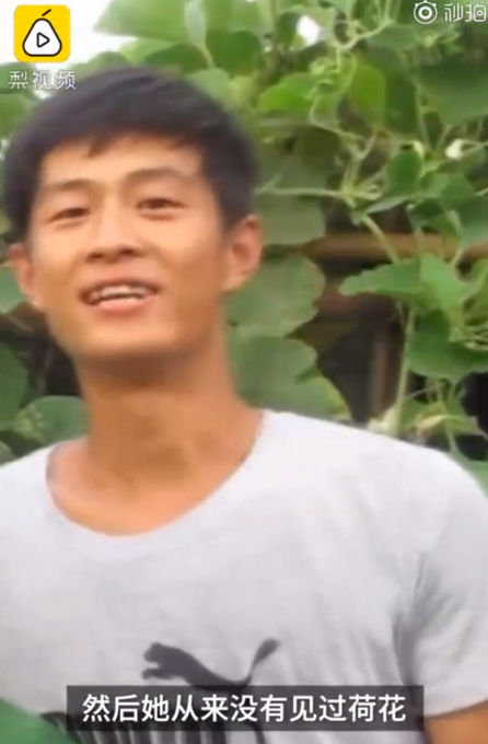 热点|宠溺！小伙三年为女友种出半亩荷塘，网友：浪漫，这才是塘主