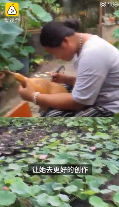 热点|宠溺！小伙三年为女友种出半亩荷塘，网友：浪漫，这才是塘主