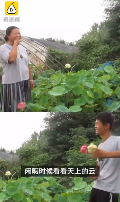 热点|宠溺！小伙三年为女友种出半亩荷塘，网友：浪漫，这才是塘主