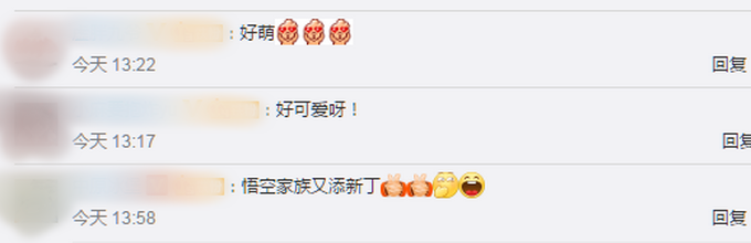 |呆萌可爱！神农架再添一只雄性金丝猴宝宝，网友：一举一动都是贵族气质