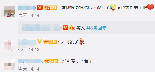 可爱|防疫战士换班后跳可爱舞蹈解压，发现被拍后还跑开了，网友：太可爱了