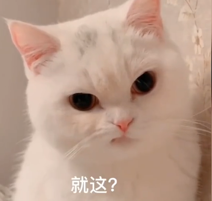 搞笑|可爱！天生一副拽样的猫咪走红，主人：它少颗牙