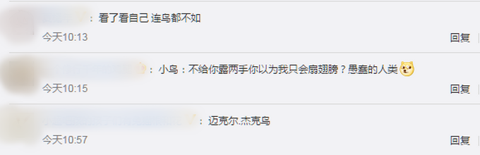 |巴西小鸟在镜头前跳机械舞，疯狂踩点有模有样，网友：太神奇了