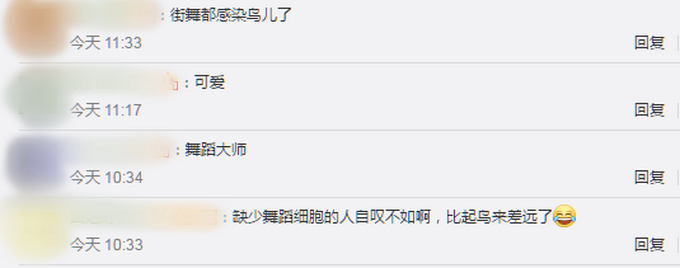 |巴西小鸟在镜头前跳机械舞，疯狂踩点有模有样，网友：太神奇了