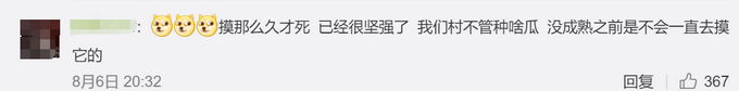 热点|女子花5块楼顶种西瓜，拍下成长过程结果令人意外！网友：不能摸