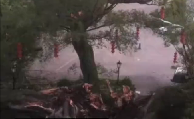 古树|遗憾！广东1100多岁古榕树倒塌，网友：希望能抢救回来