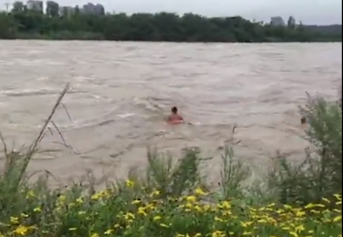 奇葩|玩命呢？四川乐山近10人组团洪水中游泳，围观者还直呼“勇士”