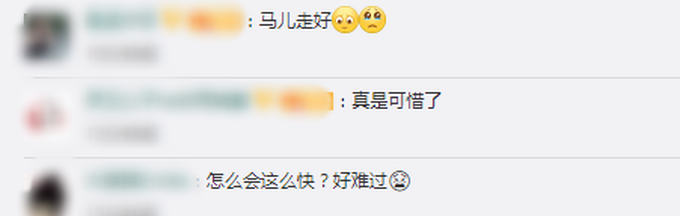 推荐|下海救人的两匹救命恩马已去世，网友：心痛，还以为能救好，望厚葬