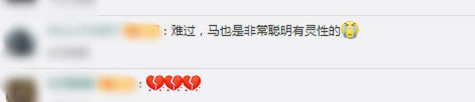 推荐|下海救人的两匹救命恩马已去世，网友：心痛，还以为能救好，望厚葬