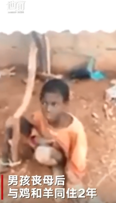 热点|尼日利亚男孩被拴羊圈2年吃饲料，其父亲和17名兄弟姐妹被曝衣食无忧