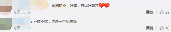 热点|村民用5色水稻种出稻田画，GPS定位种400亩！网友：太美了