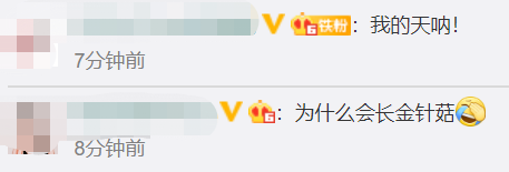 搞笑|宿舍太久没人住床板长金针菇，网友调侃：能炒盘菜了