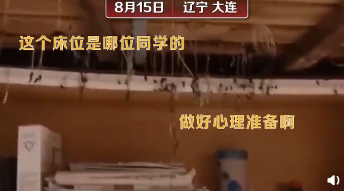 推荐|因疫情不能回校，大连高校宿舍床板长金针菇 网友：可以炒盘菜了