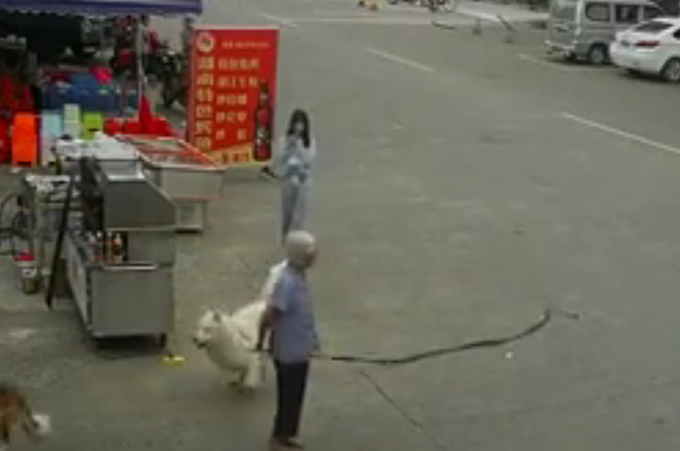 宠物狗|老人被狗绳绊倒摔地后身亡，监控拍下全过程，飞来横祸！