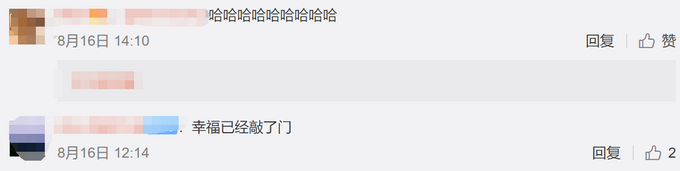 热点|柯基犬意外怀孕找不着孩子他爸，生下来5只小狗竟然5个品种？