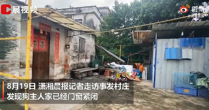 推荐|老人被狗绳绊倒身亡，当地政府否认安乐死该狗狗：已介入管理，将照顾它