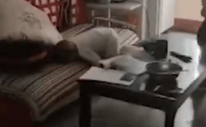 凶杀案|陕西遭父亲抱摔幼童死亡，这7秒视频令人震怒！