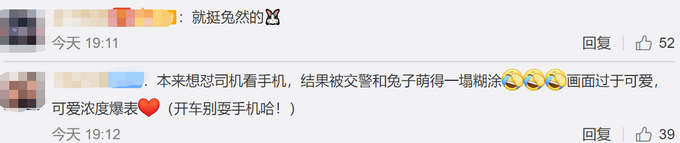 热点|货车侧翻，交警在高速隧道抓了1小时兔子！网友：画面莫名有点萌