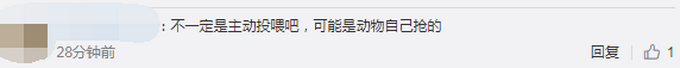 热点|曝光！北京野生动物园游客疑给动物喂口罩，被及时制止