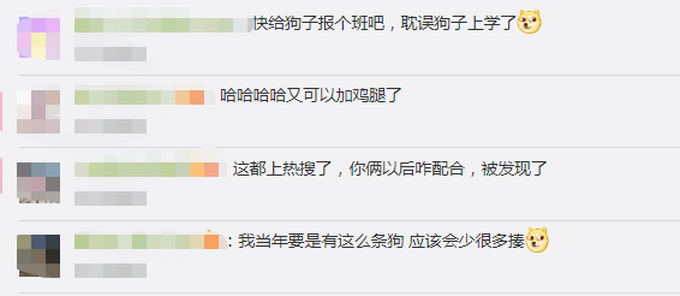 推荐|宠物狗帮女孩监听望风家长，边叫边用爪子指作业 网友：惯犯无疑了