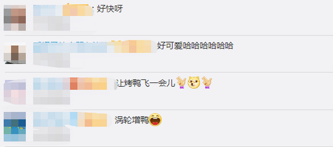 推荐|时速100公里！英国高速上出现野生涡轮增鸭 网友：让烤鸭飞一会儿