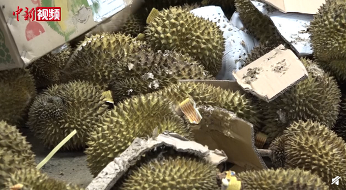 |又一批！49吨榴莲销毁成有机肥，来源及卫生状况不明