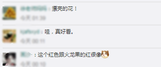 推荐|广州莲花山首次发现四蒂莲，宛若团团火焰，网友：一定要保护好