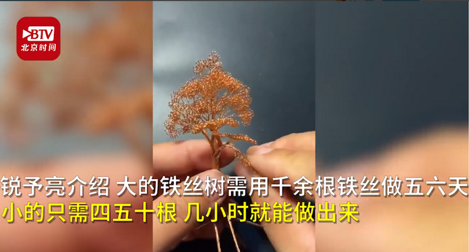 推荐|男子用铁丝DIY盆景，网友：成功把铁丝掰成了买不起的样子