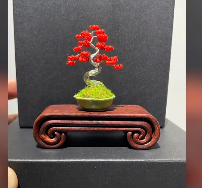 推荐|男子用铁丝DIY盆景，网友：成功把铁丝掰成了买不起的样子