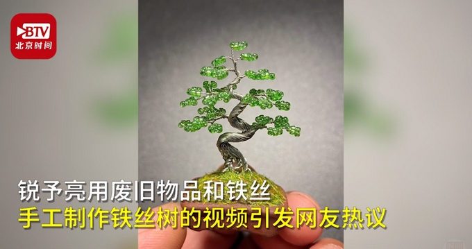 推荐|男子用铁丝DIY盆景，网友：成功把铁丝掰成了买不起的样子