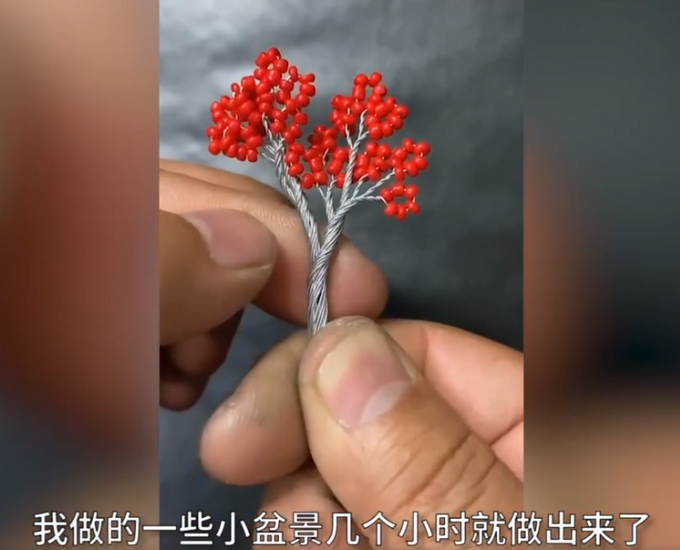 推荐|男子用铁丝DIY盆景，网友：成功把铁丝掰成了买不起的样子