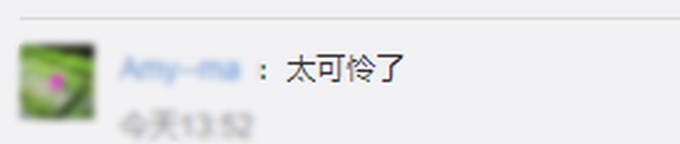 乌龟|学生8个月后返校发现宠物龟已变龟壳，网友：好可怜的小乌龟