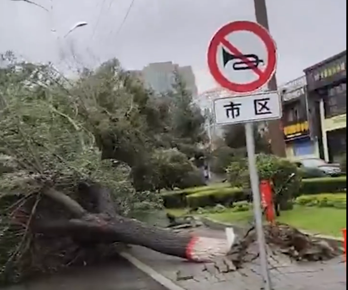 台风|台风“美莎克”移入吉林，珲春一房屋屋顶被掀翻，树木被刮倒