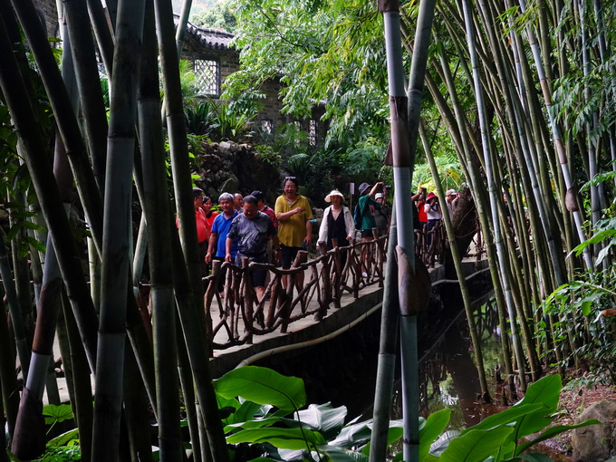 |打开世界长寿之乡文明生态密码——广西钦州浦北县探索乡村现代文明新路径