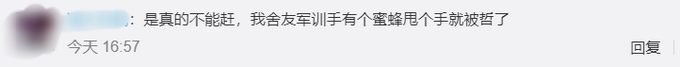 |教官回应女生军训被蜜蜂爬脸，网友：动了反而可能被蛰