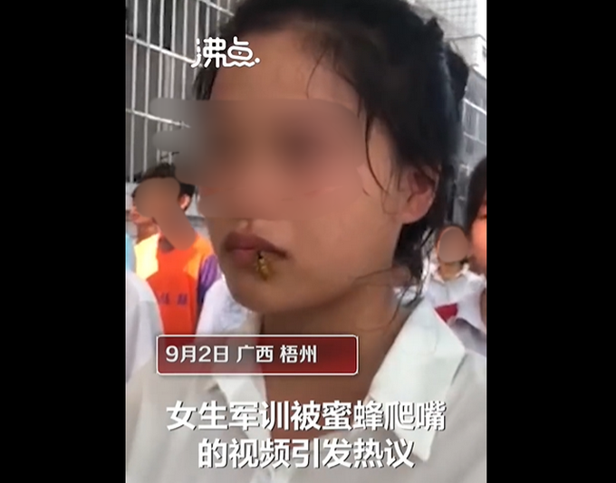 |教官回应女生军训被蜜蜂爬脸，网友：动了反而可能被蛰