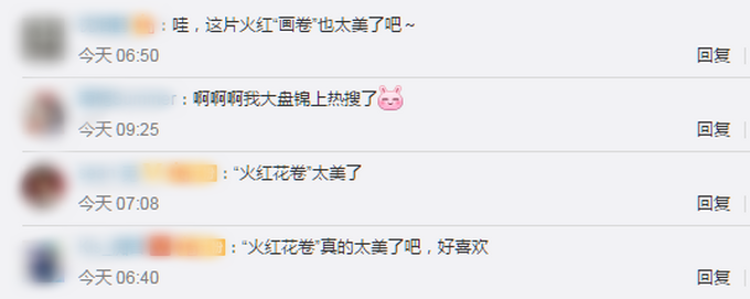 |辽宁盘锦红色海岸线上热搜，网友：太美了！