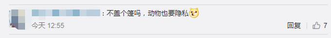 |西安一小区设1平方米宠物公厕，物业保洁员每天会定时进行清理