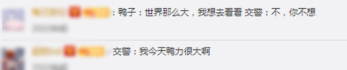 热点|50只鸭窜上高速七嘴八舌呱不停，执法队员被难倒：请看管好自己的鸭