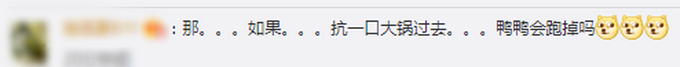 热点|50只鸭窜上高速七嘴八舌呱不停，执法队员被难倒：请看管好自己的鸭